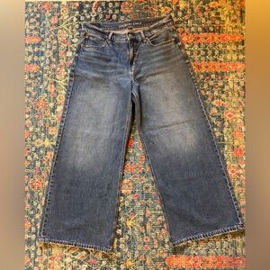 America Eagle Outfitters low rise ultra wide leg Jean